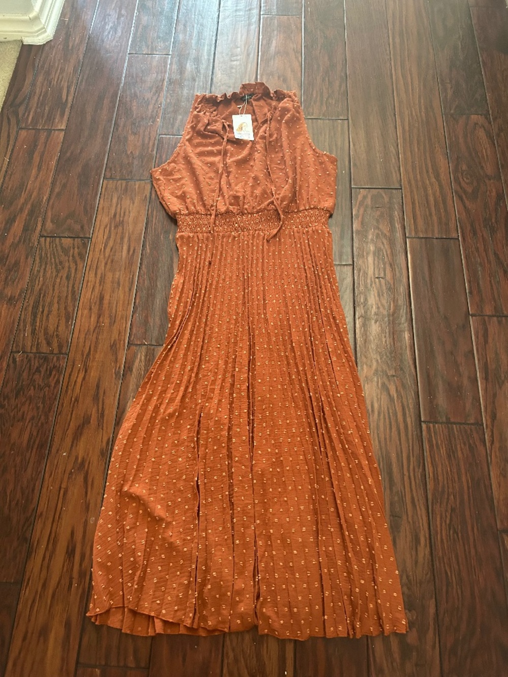 Textured Swiss Dot Pleated Skirt NEW PrettyGarden Midi Dress Sz XL Burnt Orange